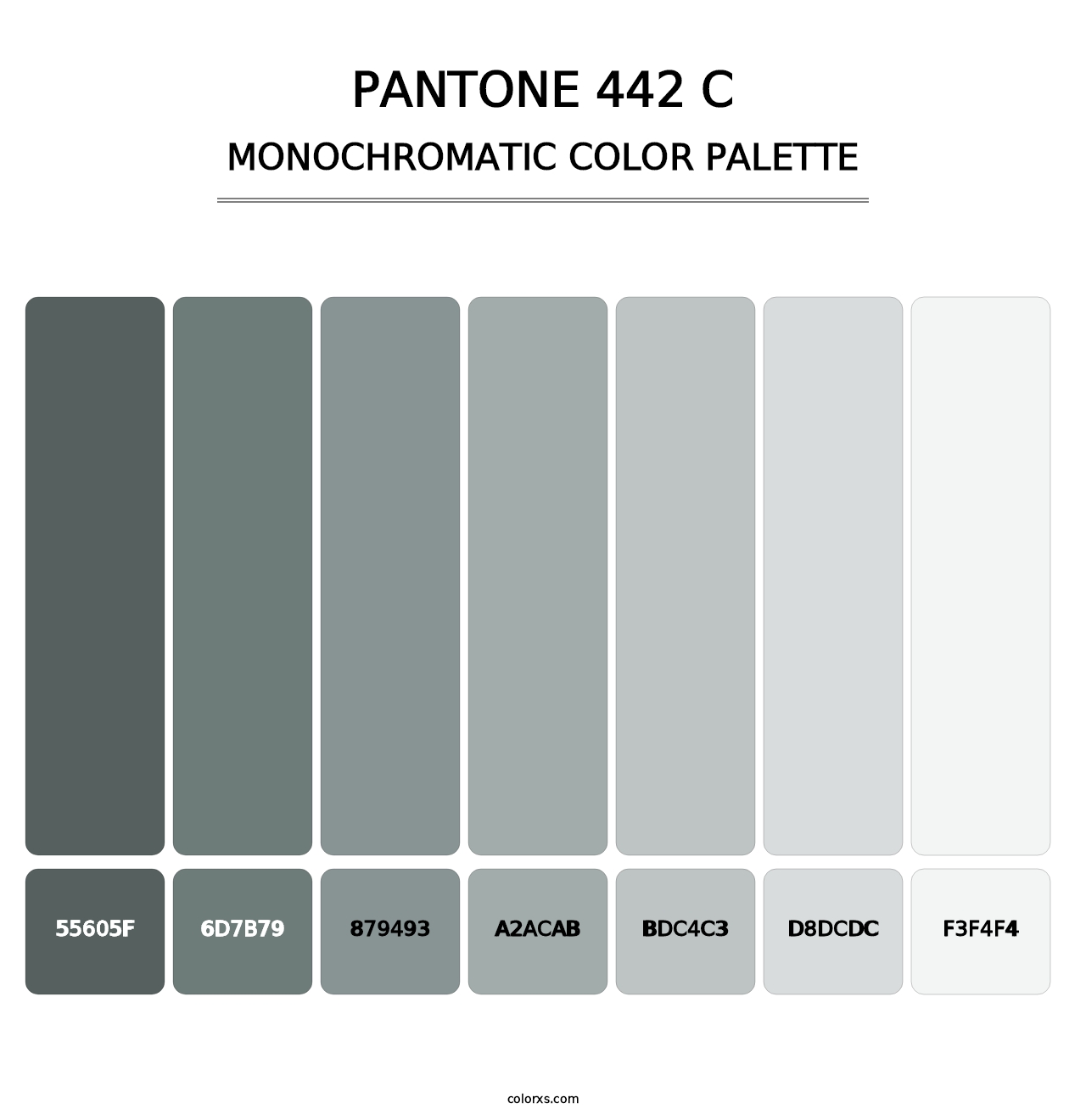 PANTONE 442 C - Monochromatic Color Palette