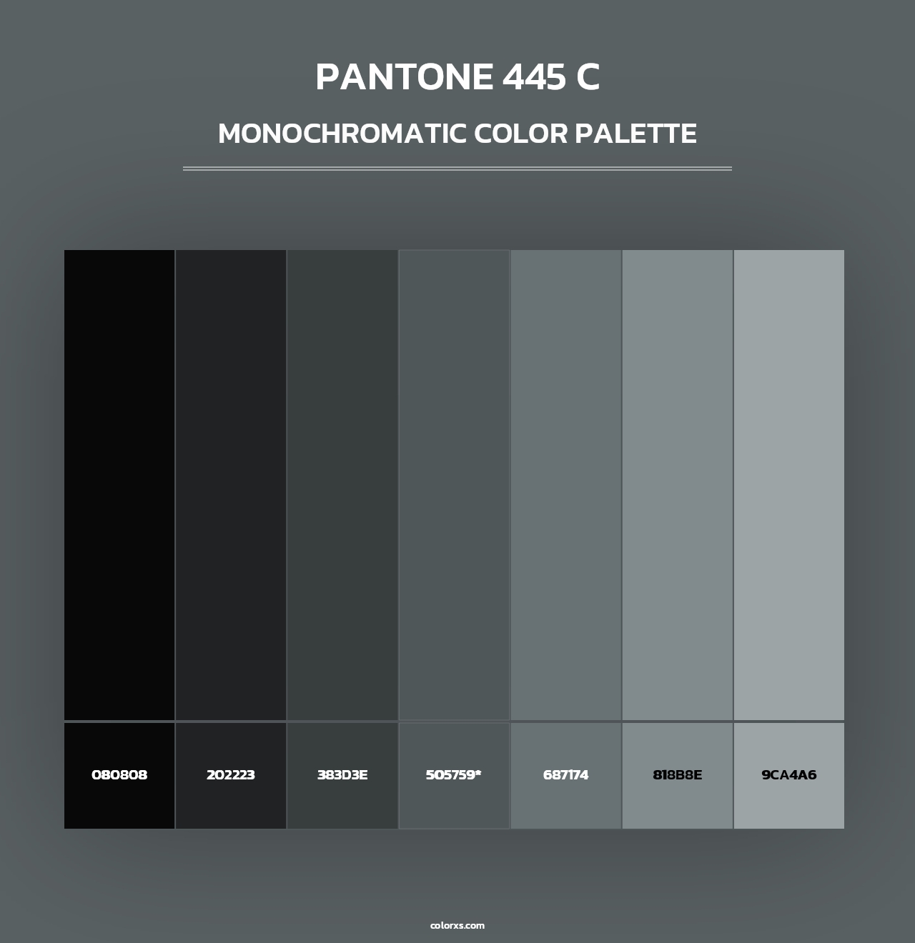 PANTONE 445 C - Monochromatic Color Palette