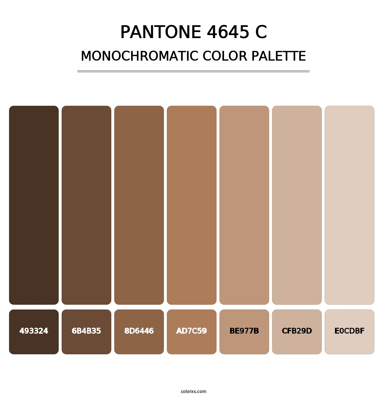 PANTONE 4645 C - Monochromatic Color Palette