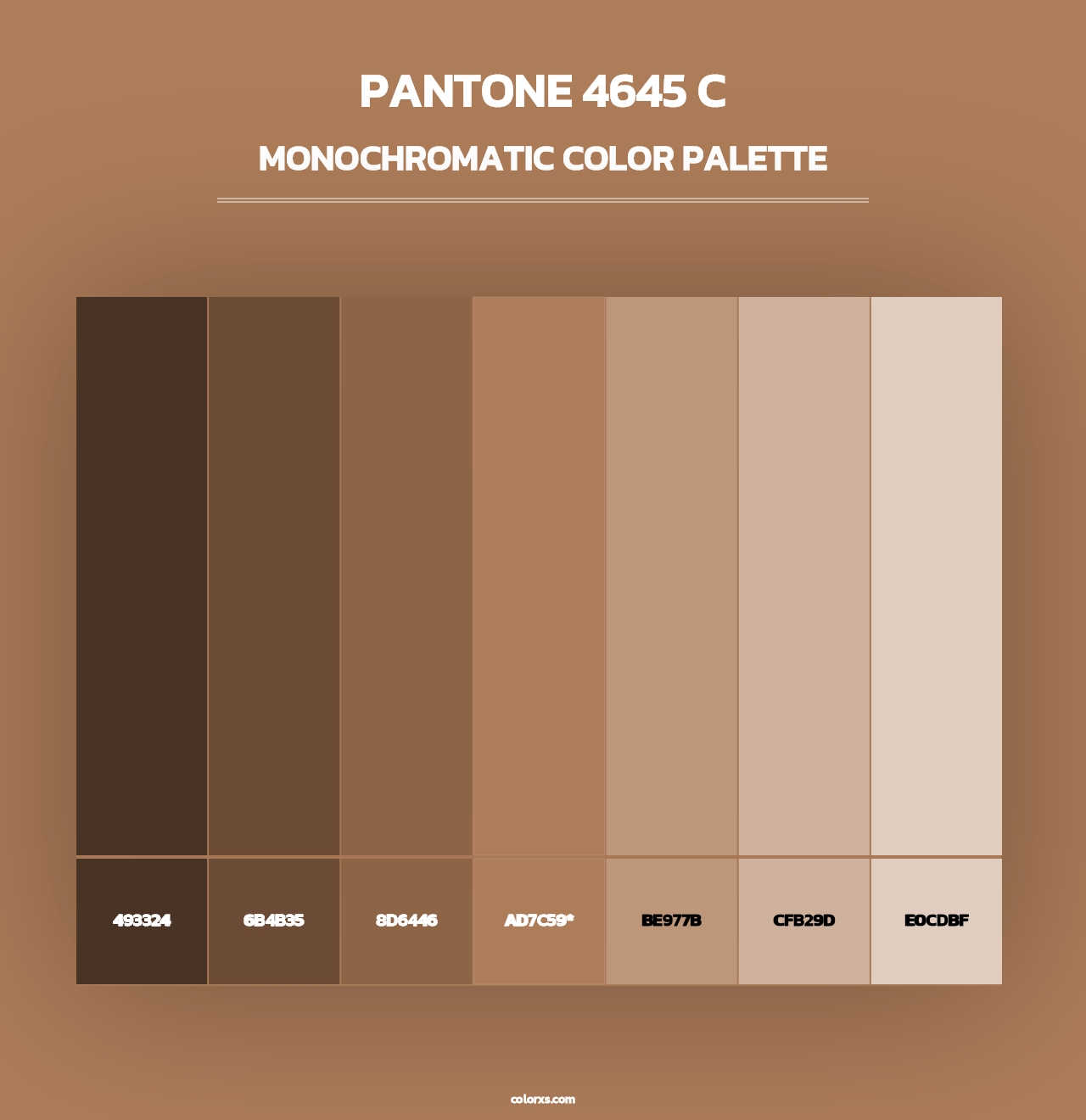 PANTONE 4645 C - Monochromatic Color Palette