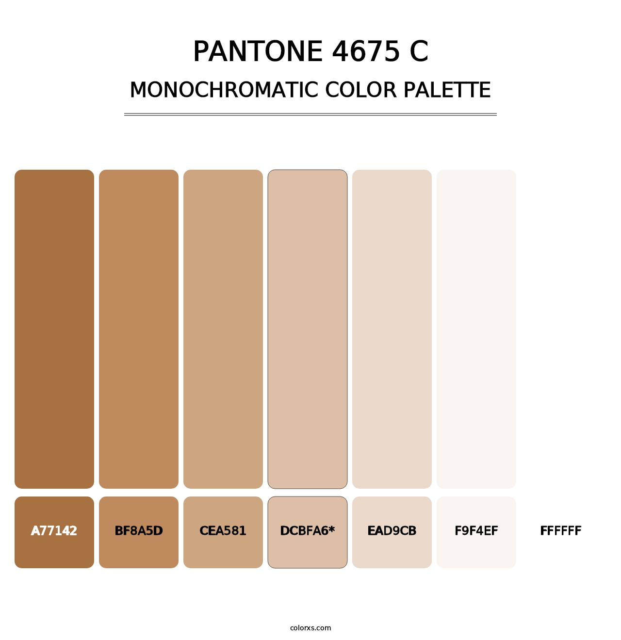 PANTONE 4675 C - Monochromatic Color Palette