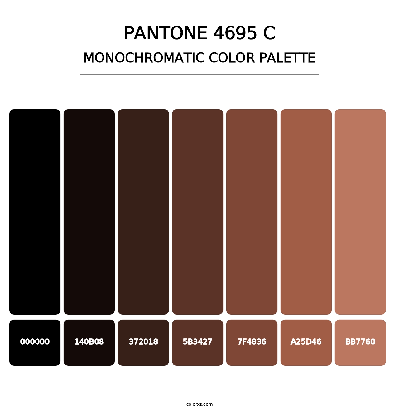 PANTONE 4695 C - Monochromatic Color Palette
