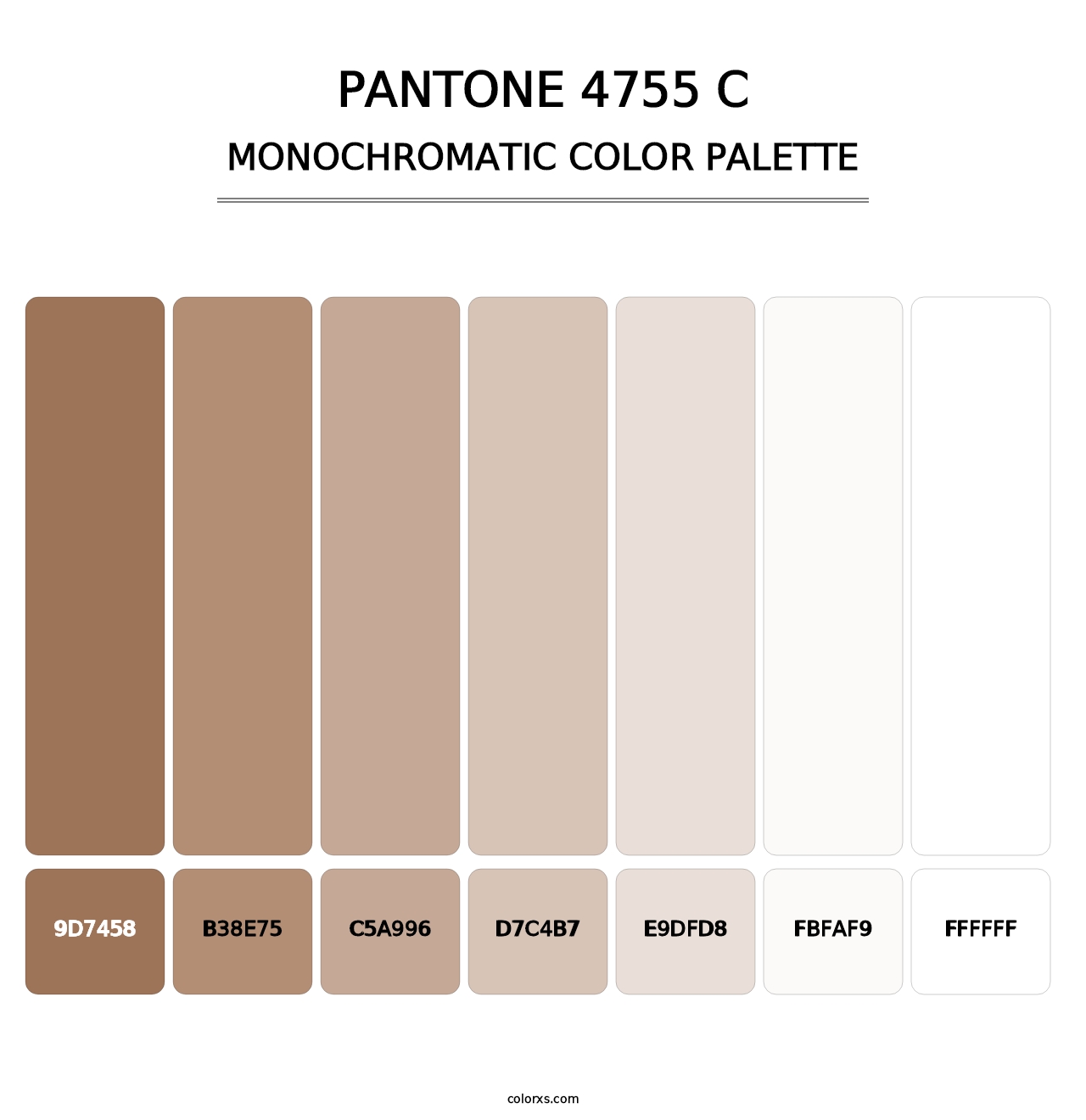 PANTONE 4755 C - Monochromatic Color Palette