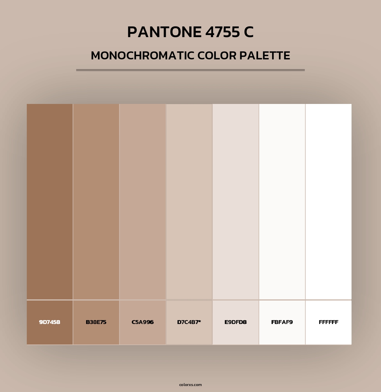 PANTONE 4755 C - Monochromatic Color Palette