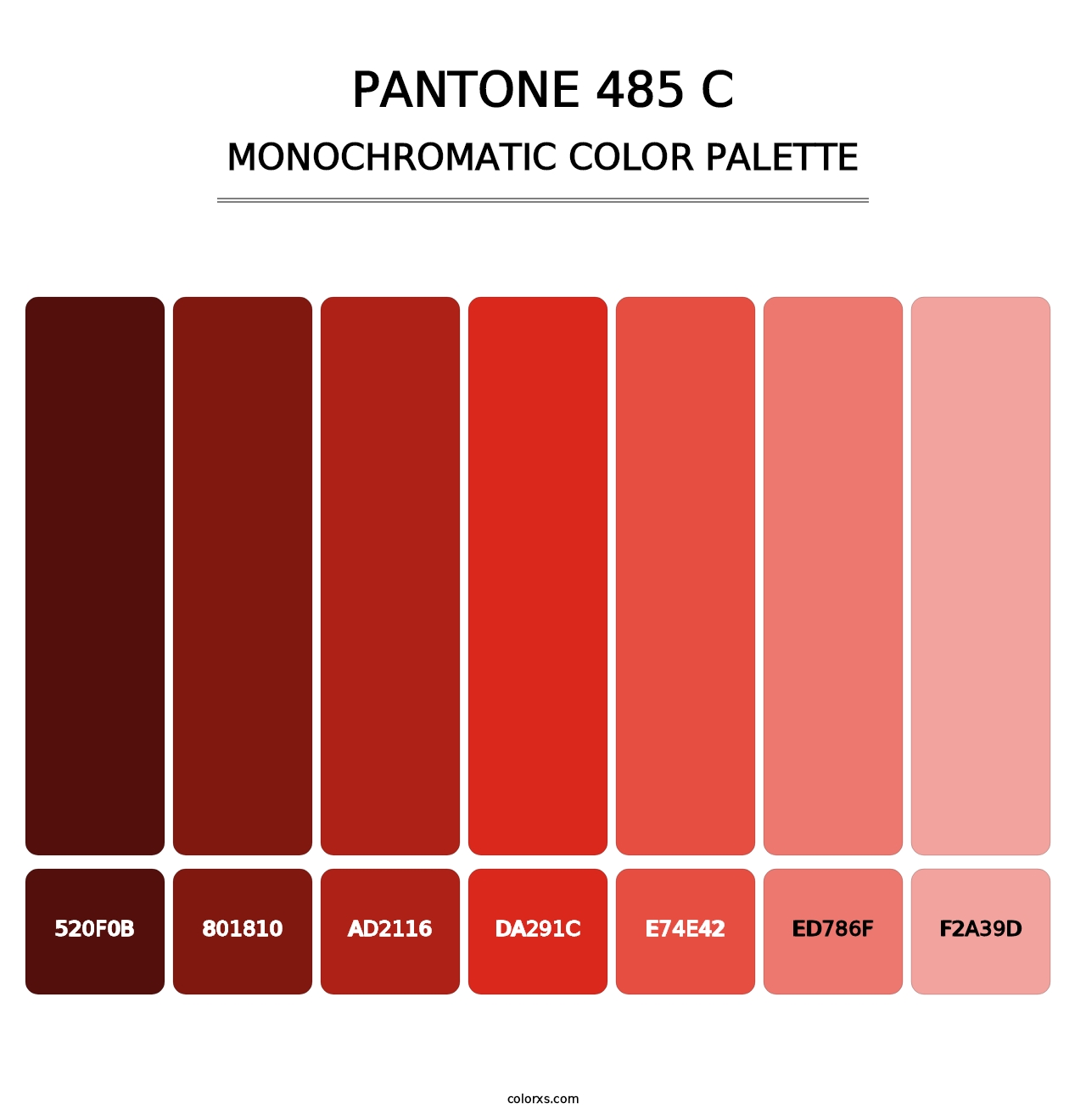 PANTONE 485 C - Monochromatic Color Palette