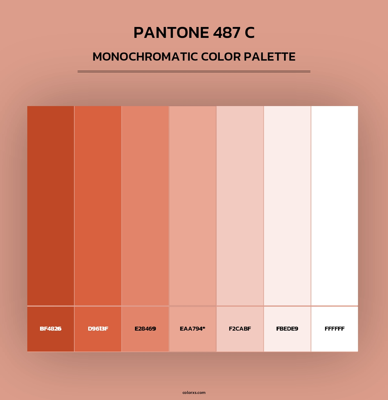 PANTONE 487 C - Monochromatic Color Palette