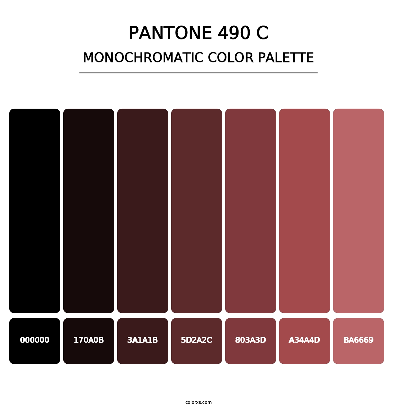 PANTONE 490 C - Monochromatic Color Palette