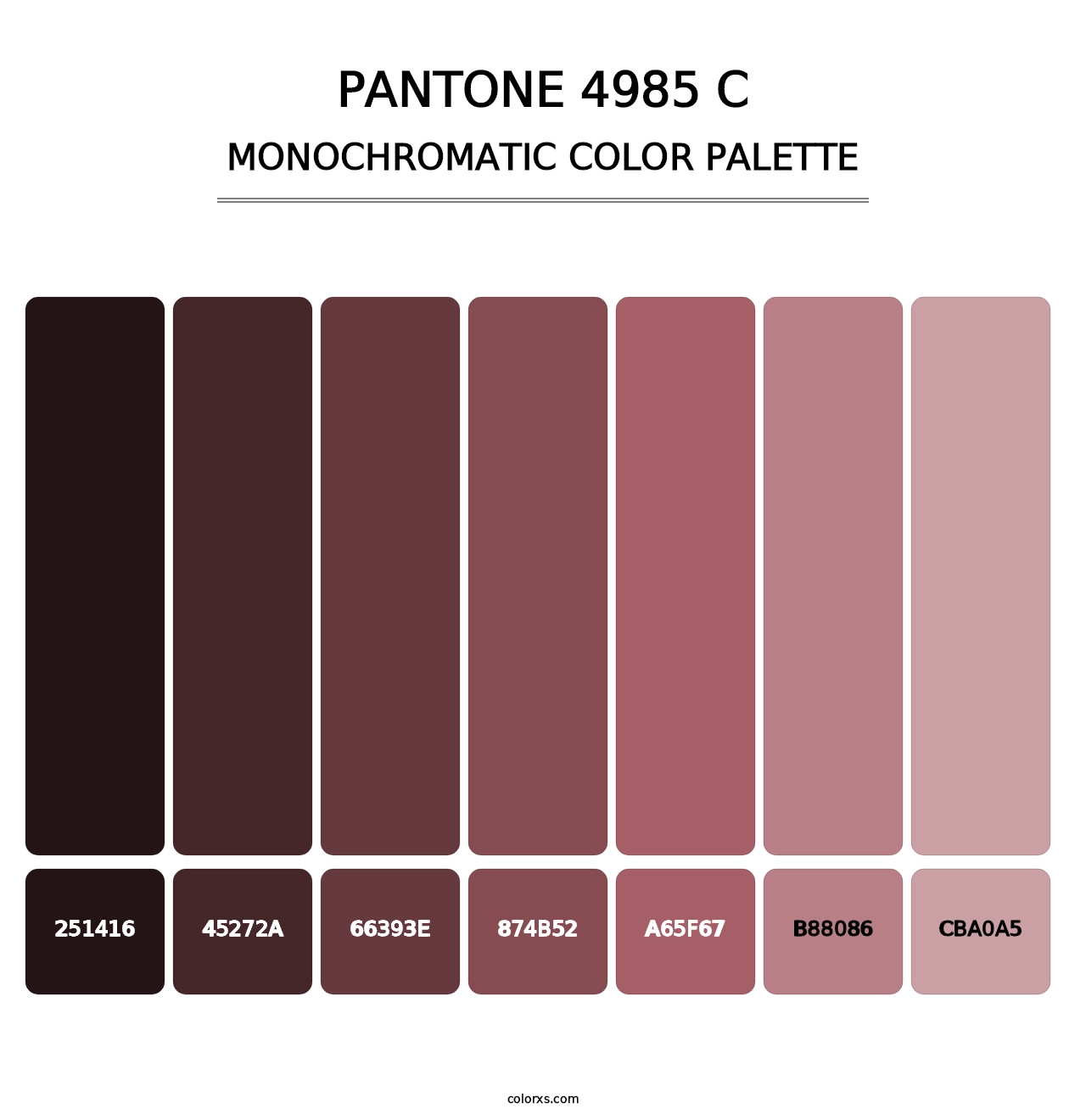 PANTONE 4985 C - Monochromatic Color Palette