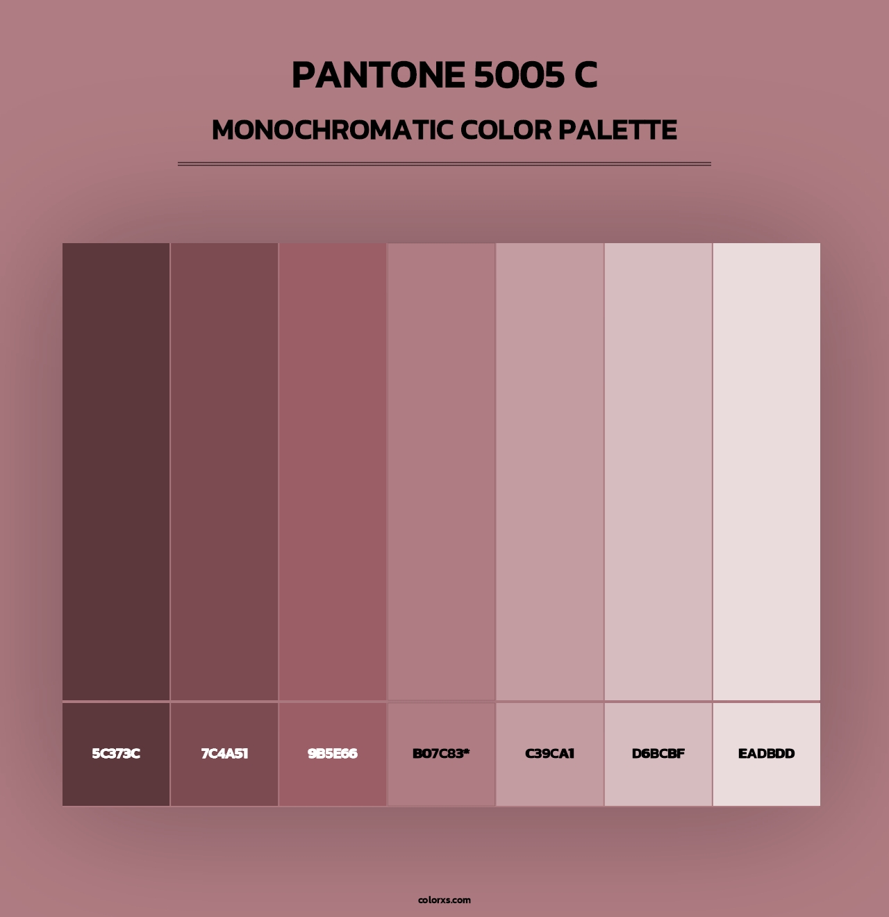 PANTONE 5005 C - Monochromatic Color Palette