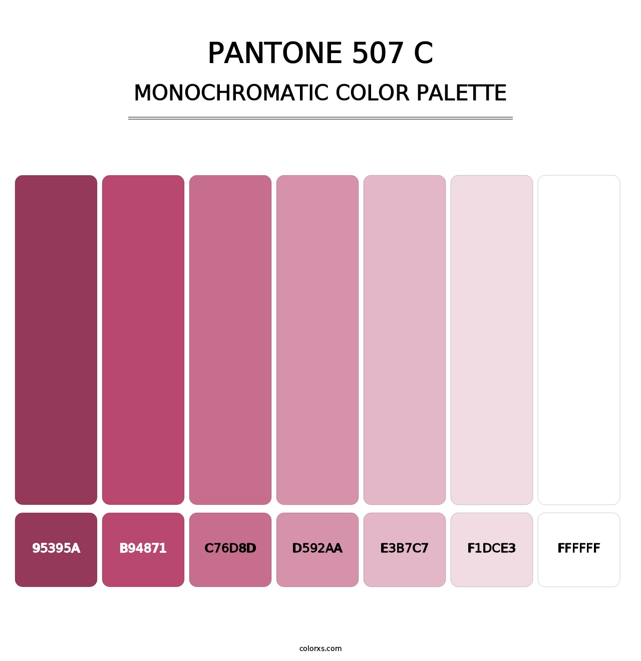 PANTONE 507 C - Monochromatic Color Palette