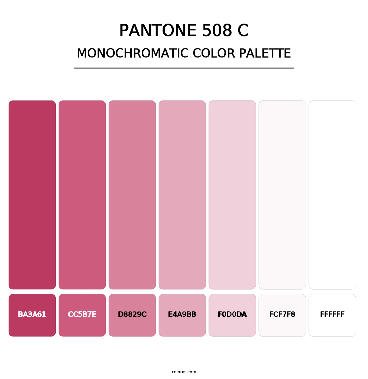 PANTONE 508 C - Monochromatic Color Palette