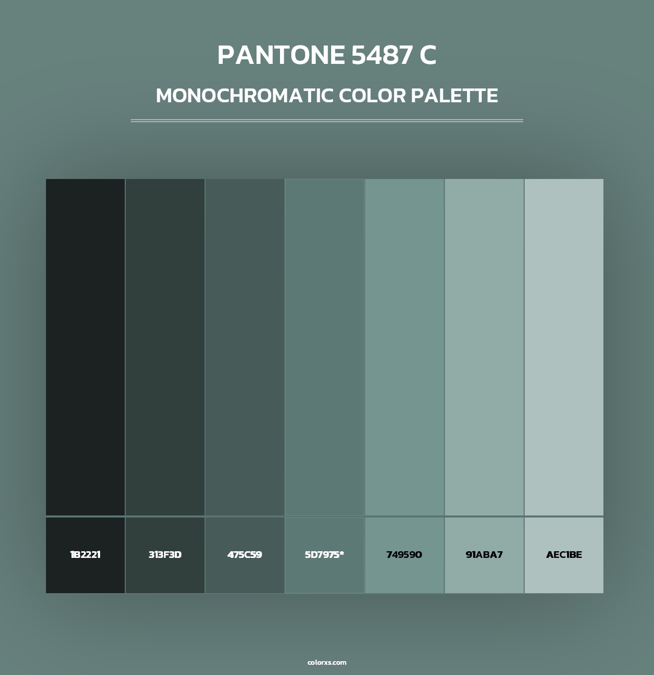 PANTONE 5487 C - Monochromatic Color Palette