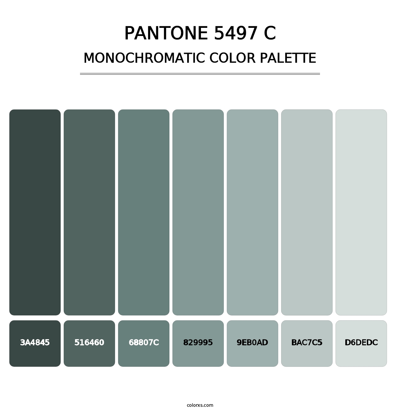 PANTONE 5497 C - Monochromatic Color Palette