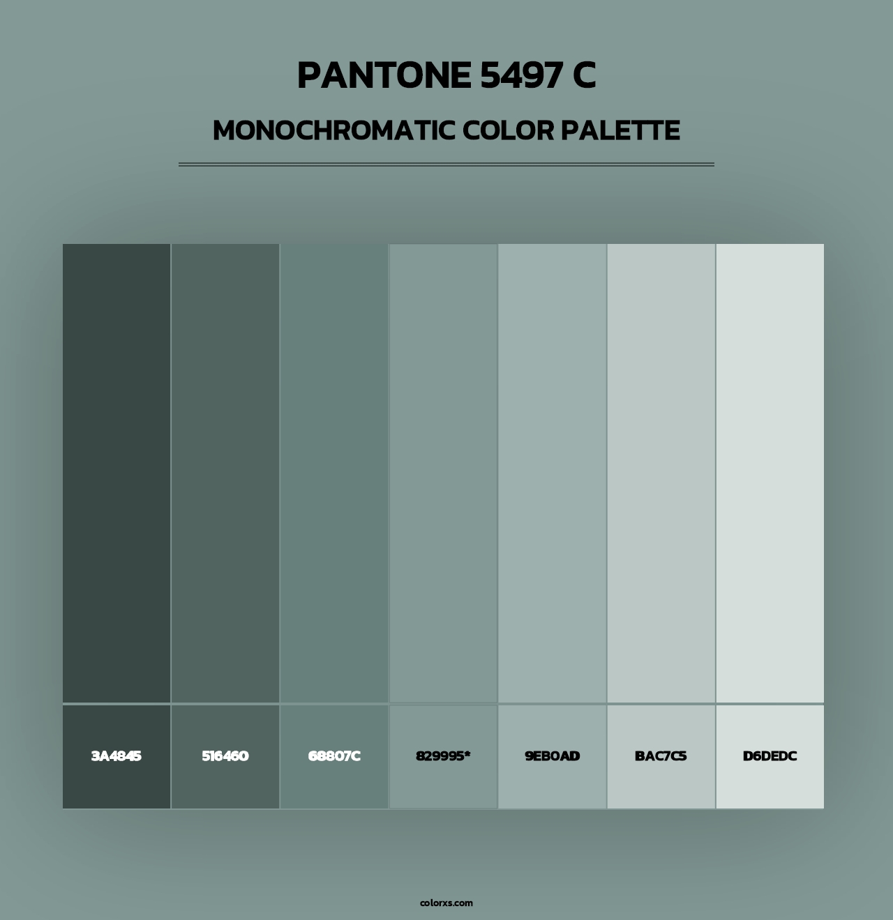 PANTONE 5497 C - Monochromatic Color Palette