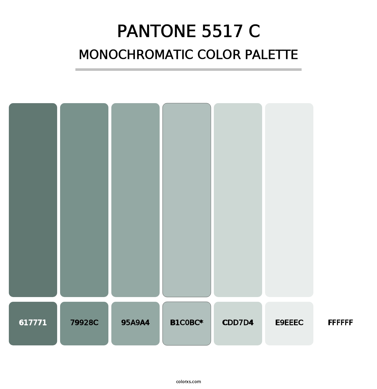 PANTONE 5517 C - Monochromatic Color Palette
