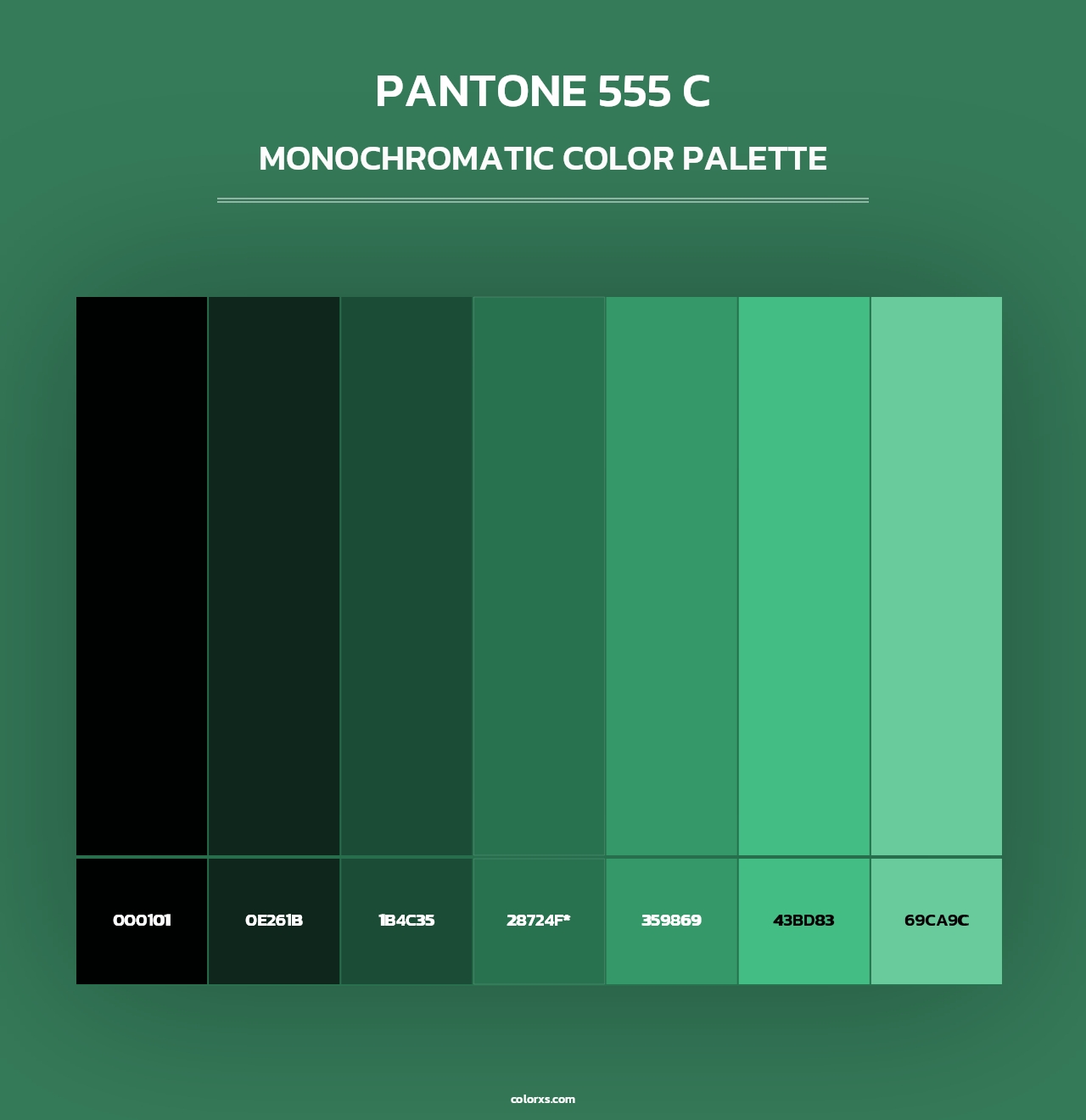 PANTONE 555 C - Monochromatic Color Palette