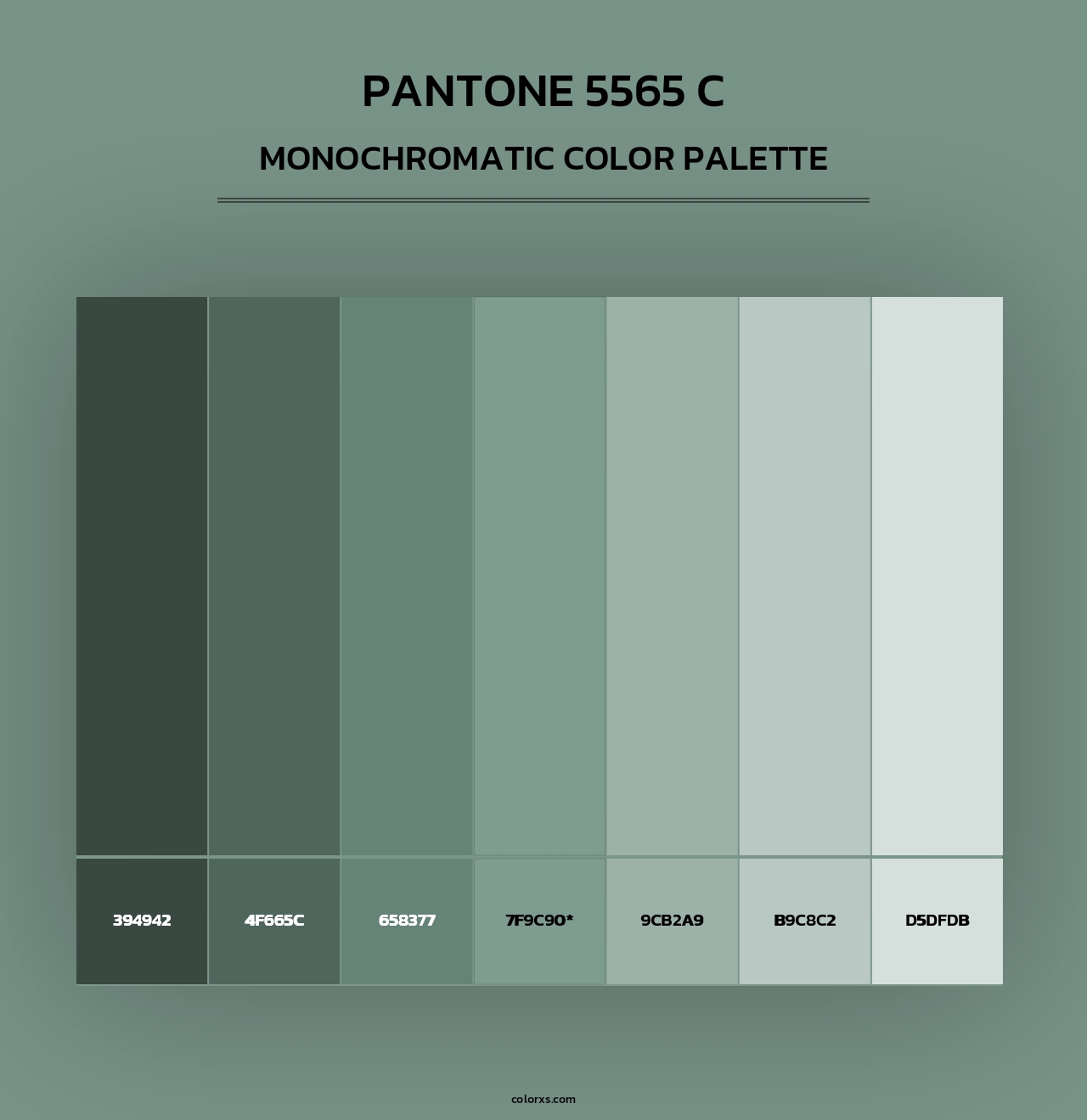 PANTONE 5565 C - Monochromatic Color Palette