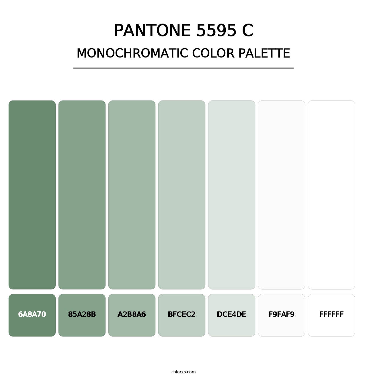 PANTONE 5595 C - Monochromatic Color Palette