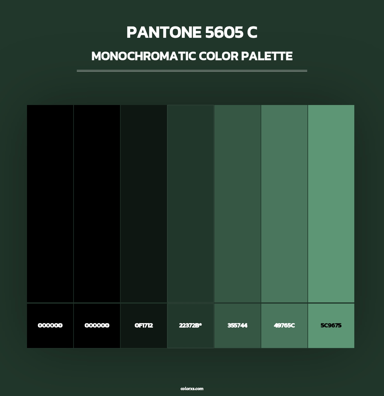 PANTONE 5605 C - Monochromatic Color Palette