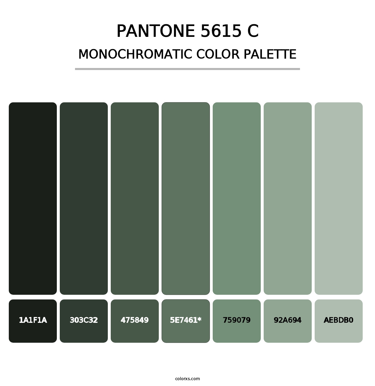 PANTONE 5615 C - Monochromatic Color Palette