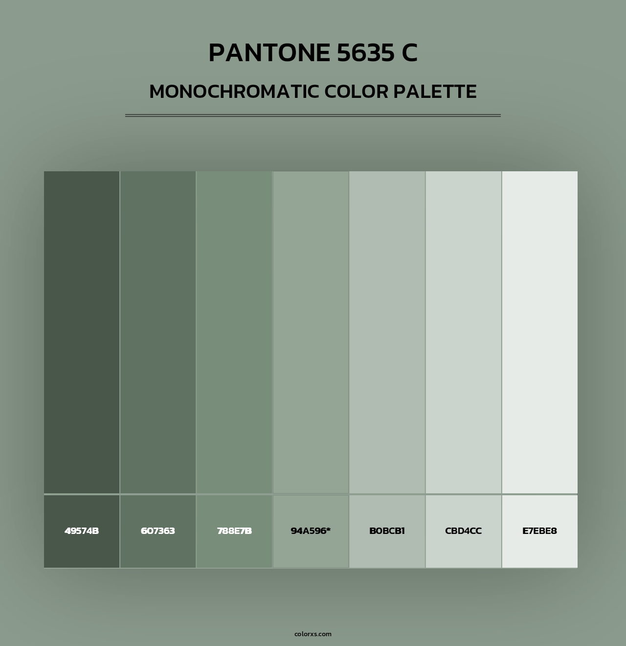 PANTONE 5635 C - Monochromatic Color Palette
