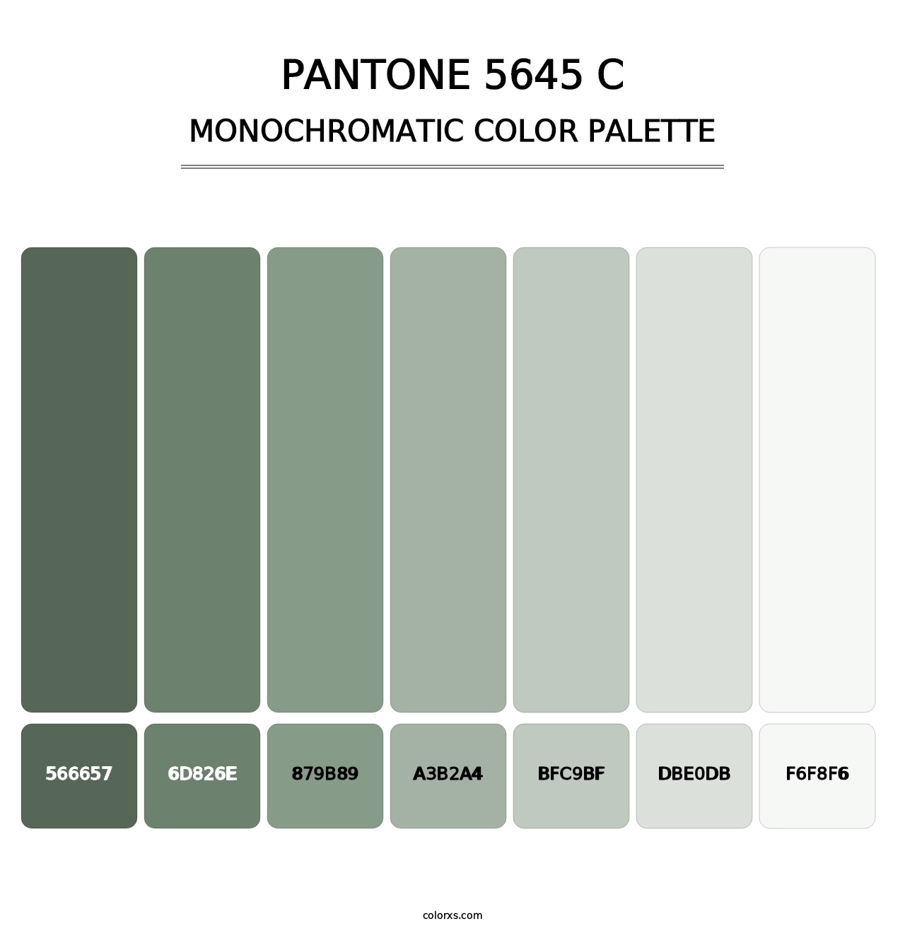 PANTONE 5645 C - Monochromatic Color Palette
