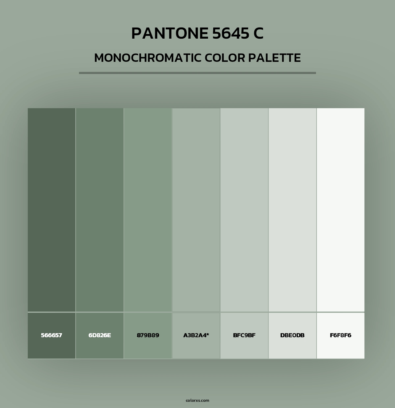 PANTONE 5645 C - Monochromatic Color Palette