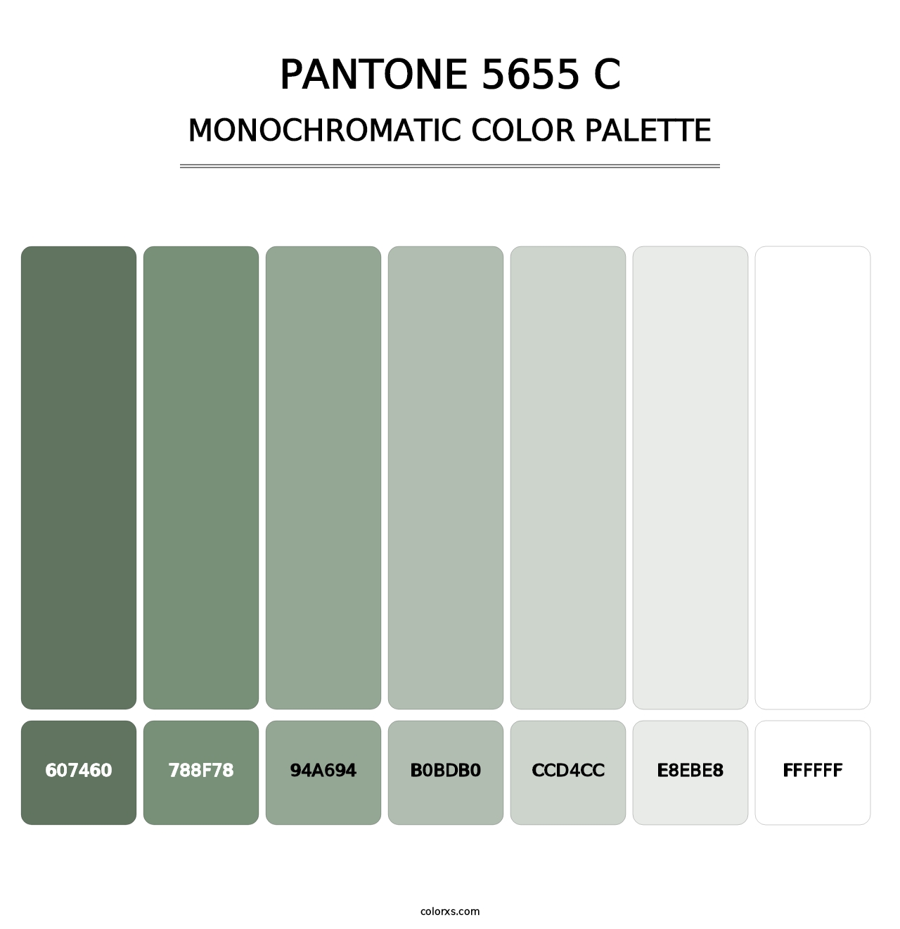 PANTONE 5655 C - Monochromatic Color Palette