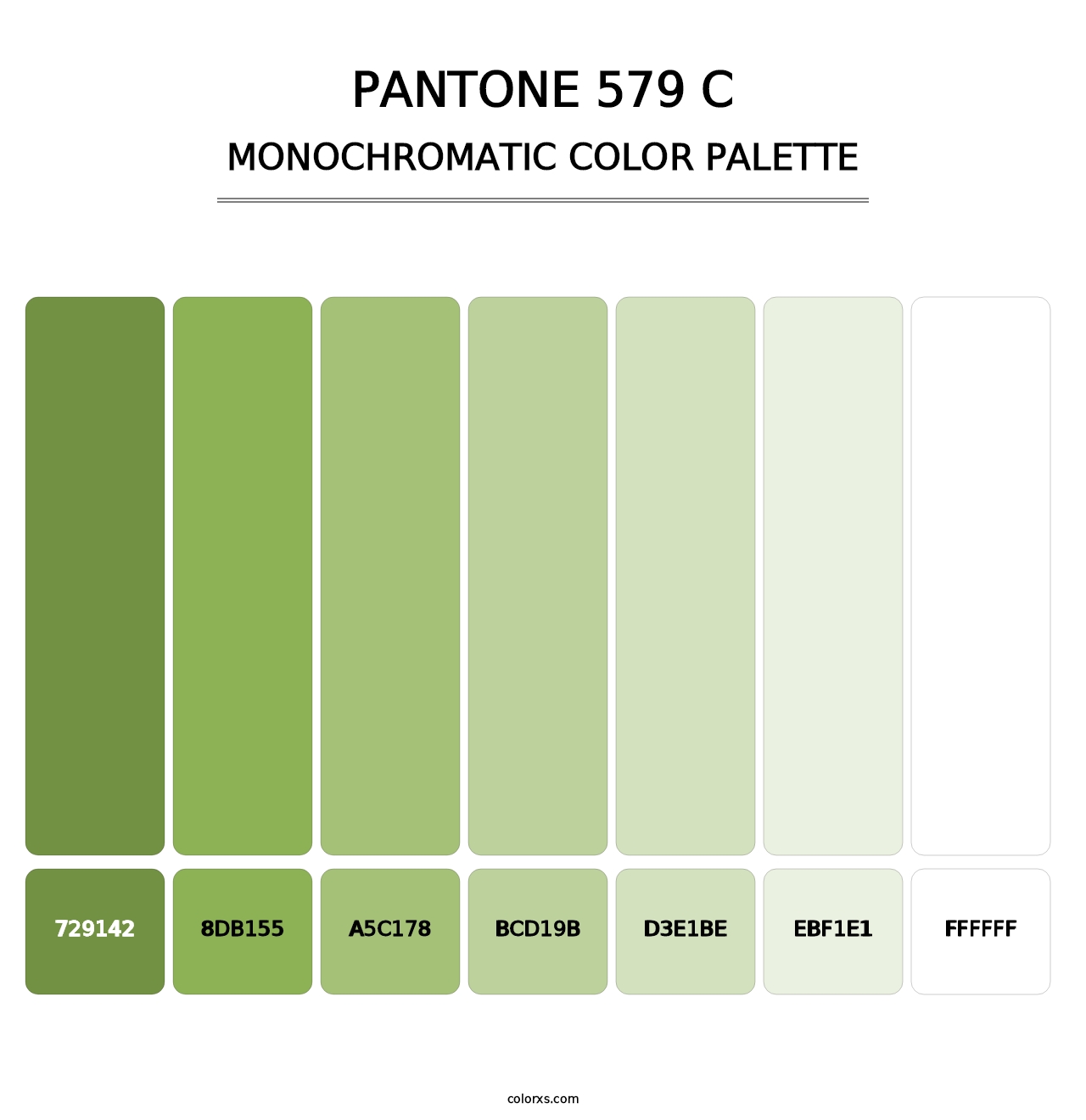 PANTONE 579 C - Monochromatic Color Palette