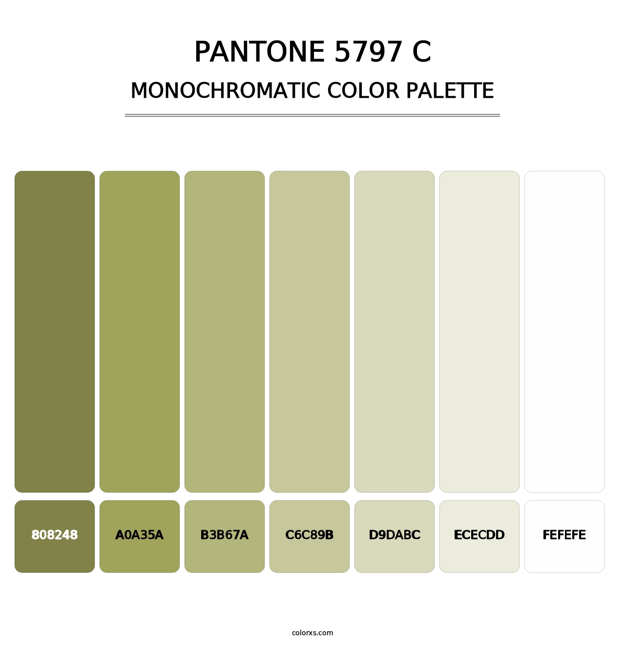 PANTONE 5797 C - Monochromatic Color Palette