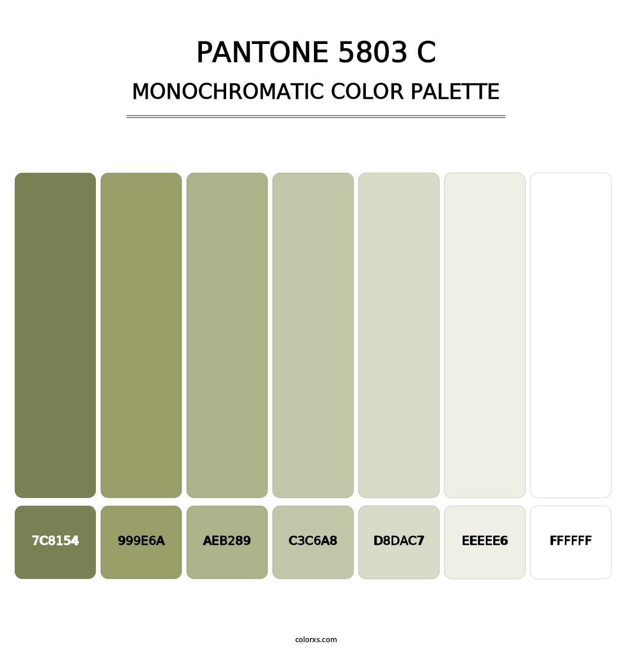 PANTONE 5803 C - Monochromatic Color Palette