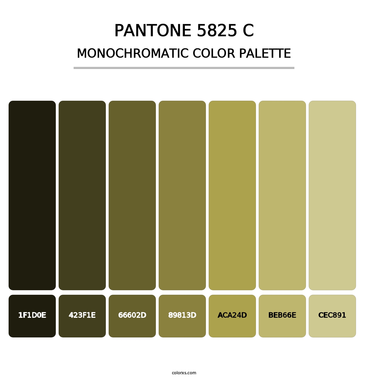 PANTONE 5825 C - Monochromatic Color Palette