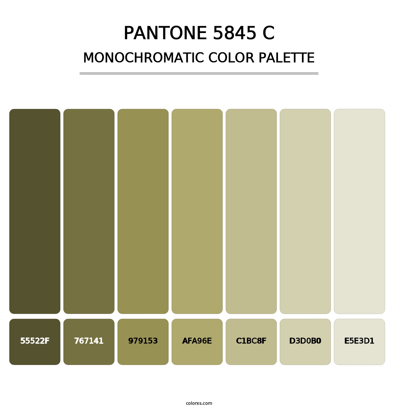 PANTONE 5845 C - Monochromatic Color Palette