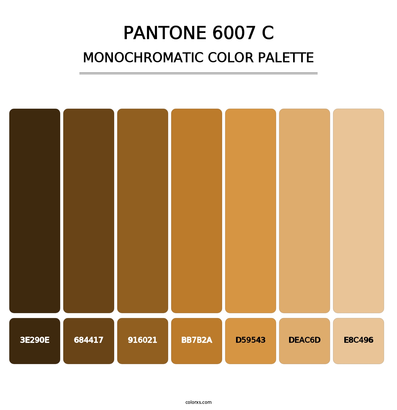 PANTONE 6007 C - Monochromatic Color Palette