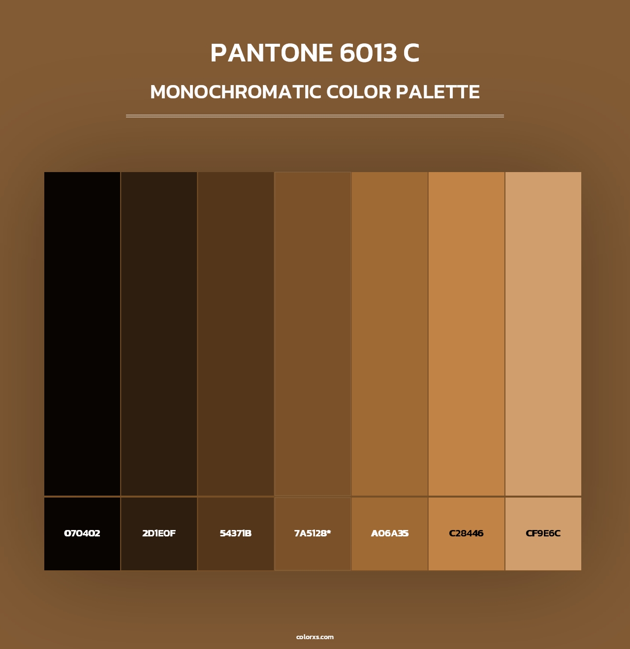 PANTONE 6013 C - Monochromatic Color Palette