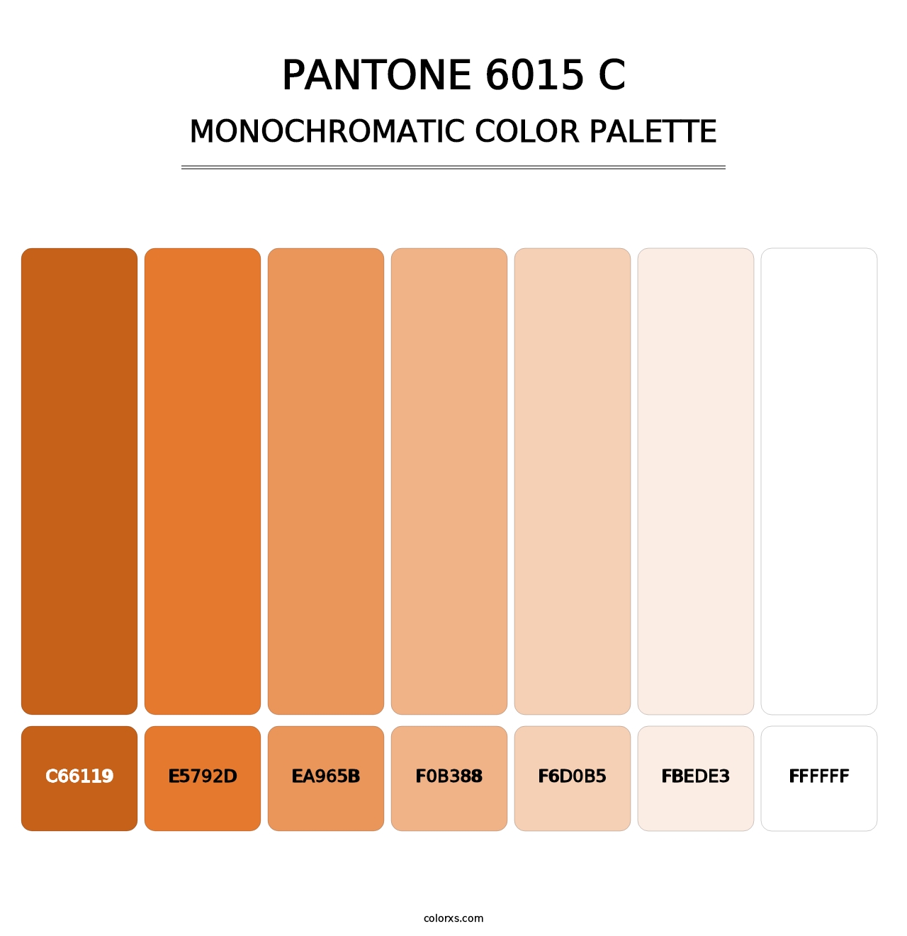 PANTONE 6015 C - Monochromatic Color Palette