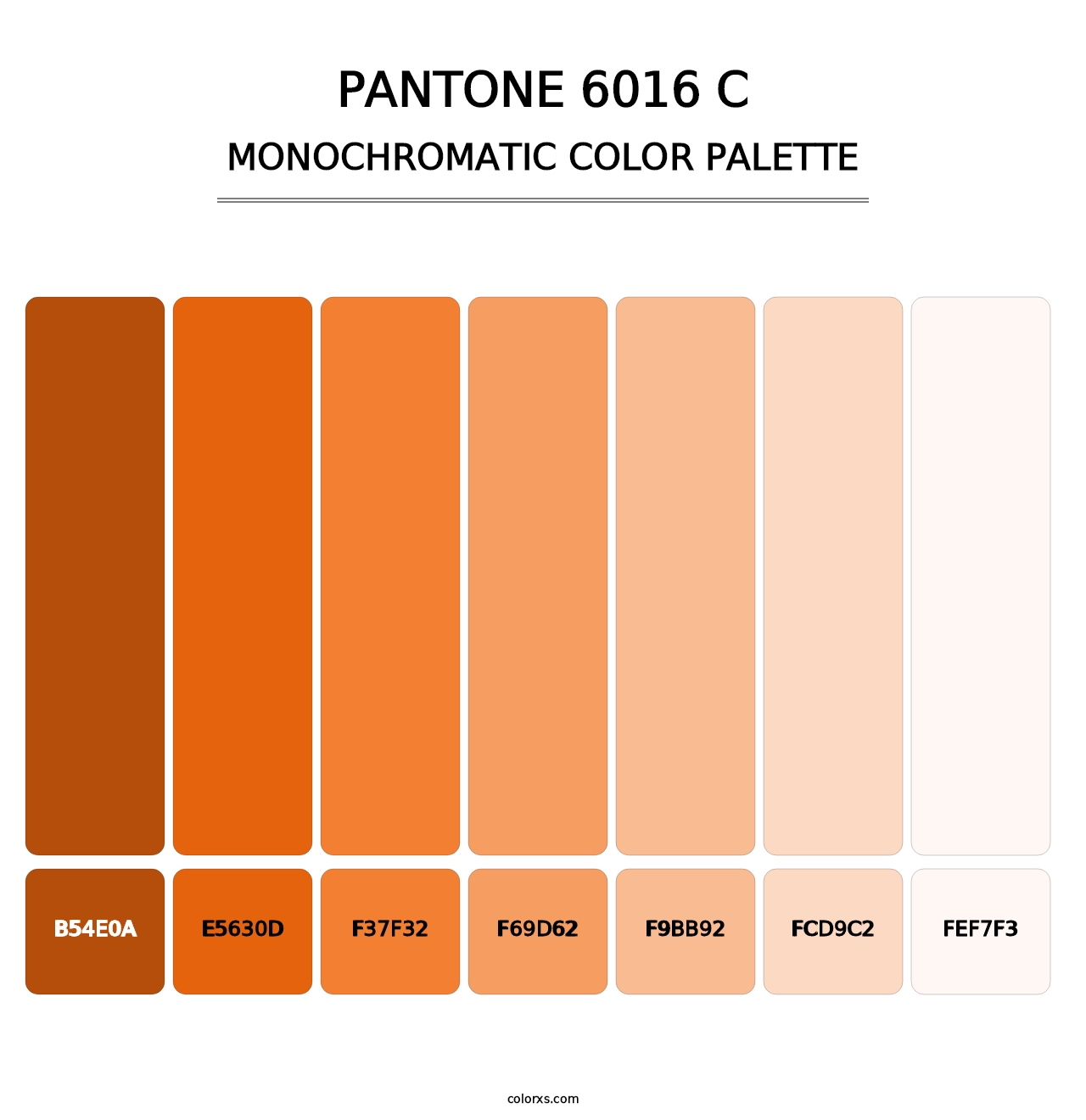 PANTONE 6016 C - Monochromatic Color Palette