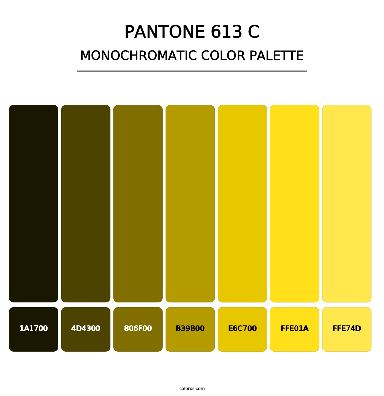 PANTONE 613 C - Monochromatic Color Palette