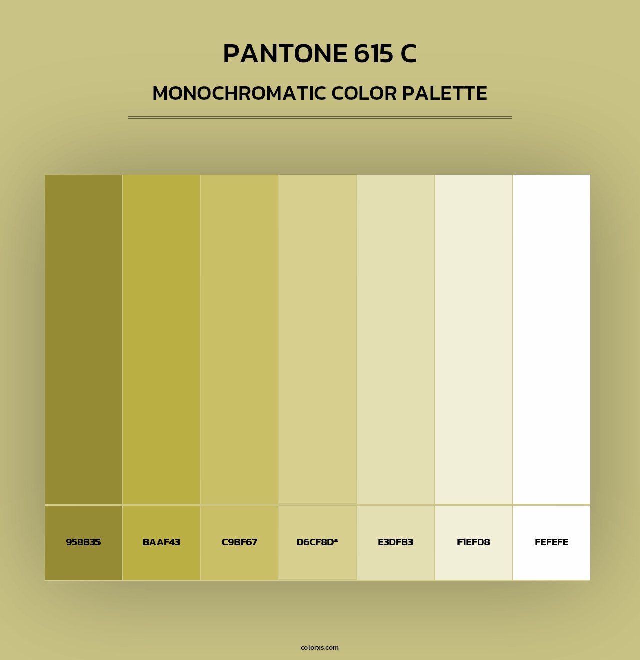 PANTONE 615 C - Monochromatic Color Palette