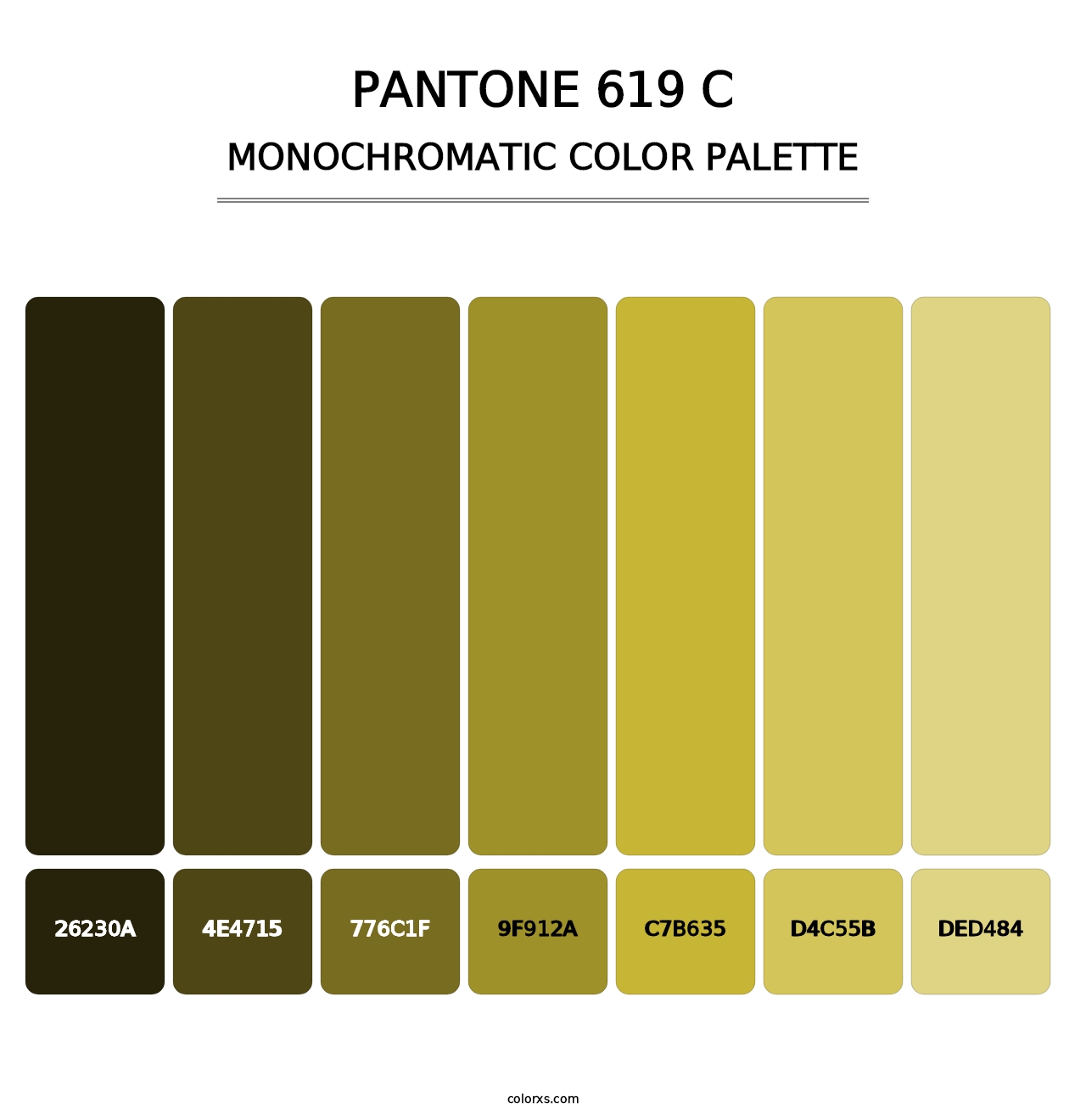 PANTONE 619 C - Monochromatic Color Palette