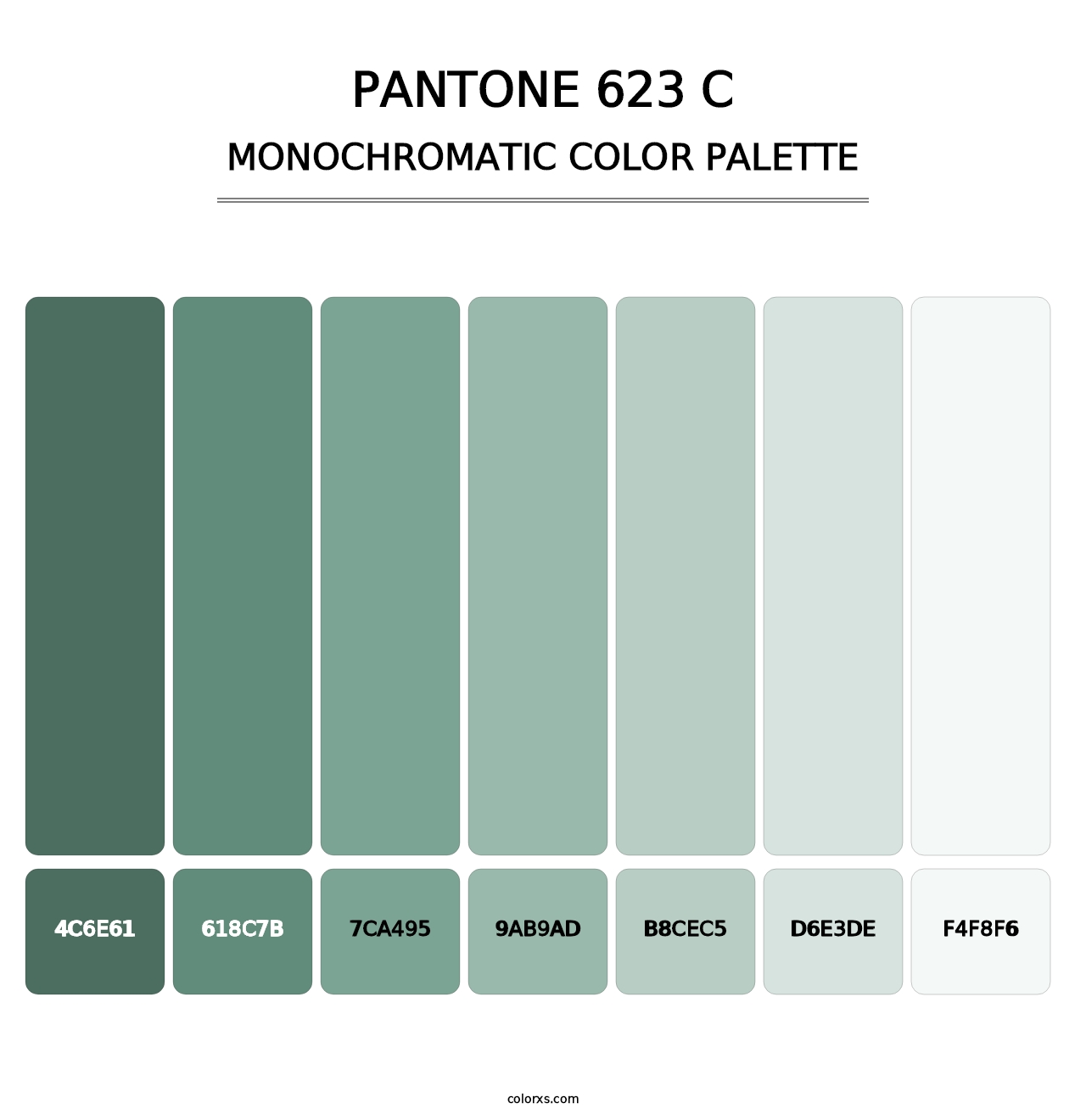 PANTONE 623 C - Monochromatic Color Palette