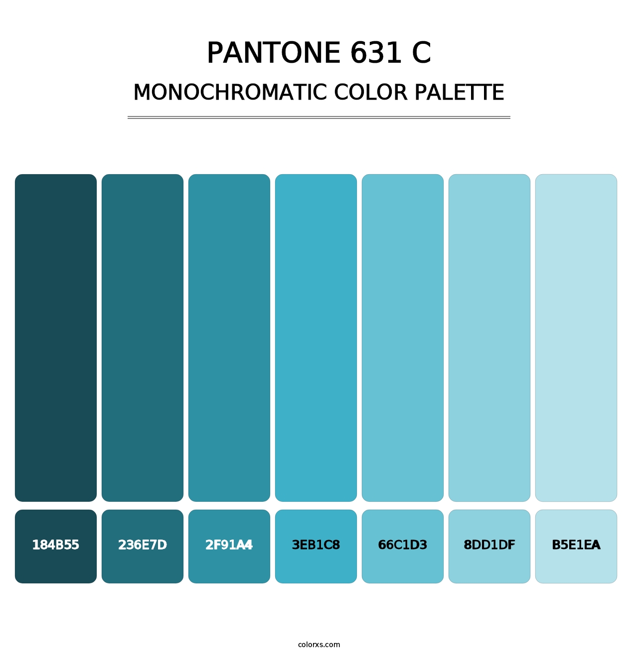 PANTONE 631 C - Monochromatic Color Palette