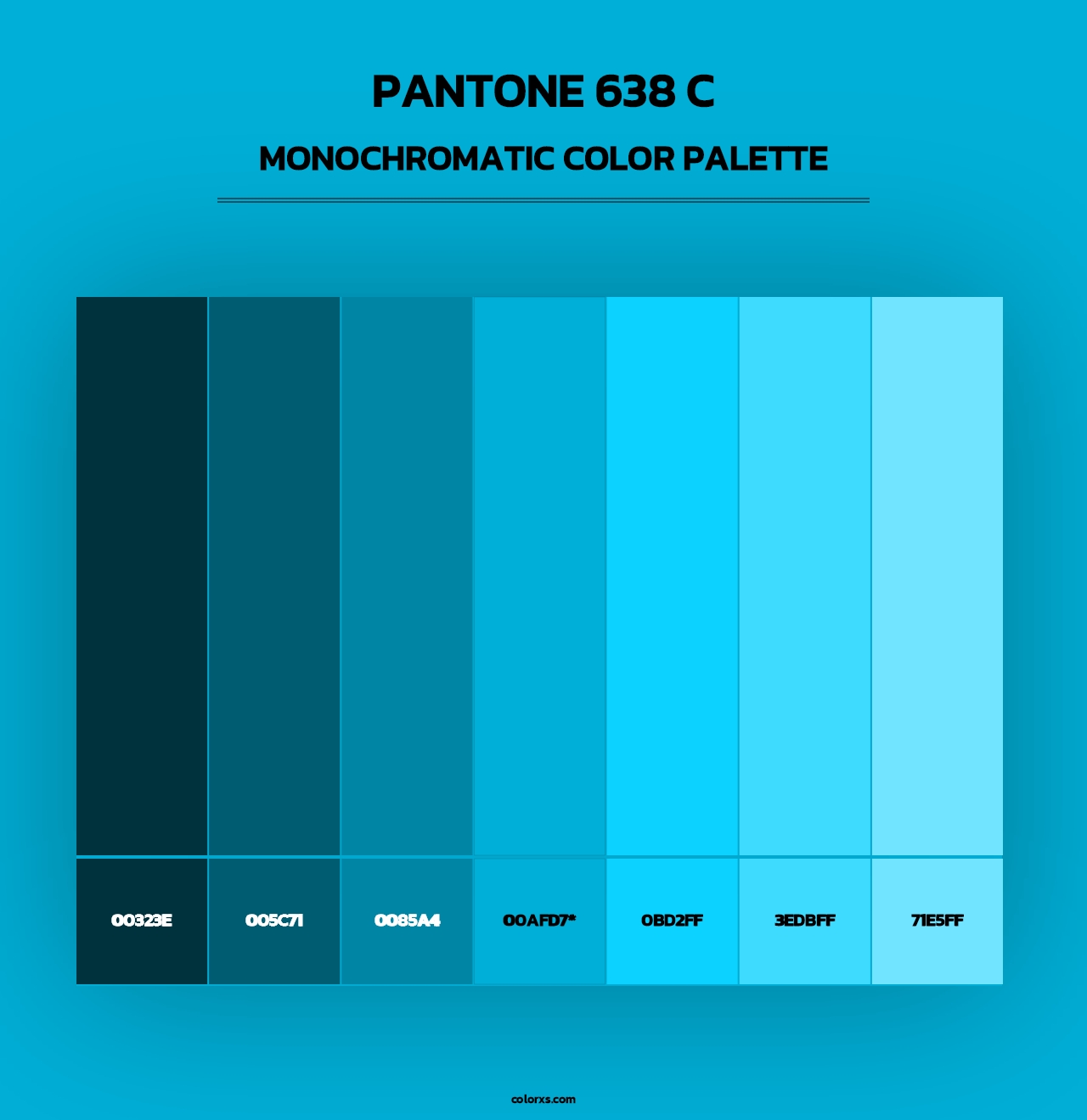 PANTONE 638 C - Monochromatic Color Palette