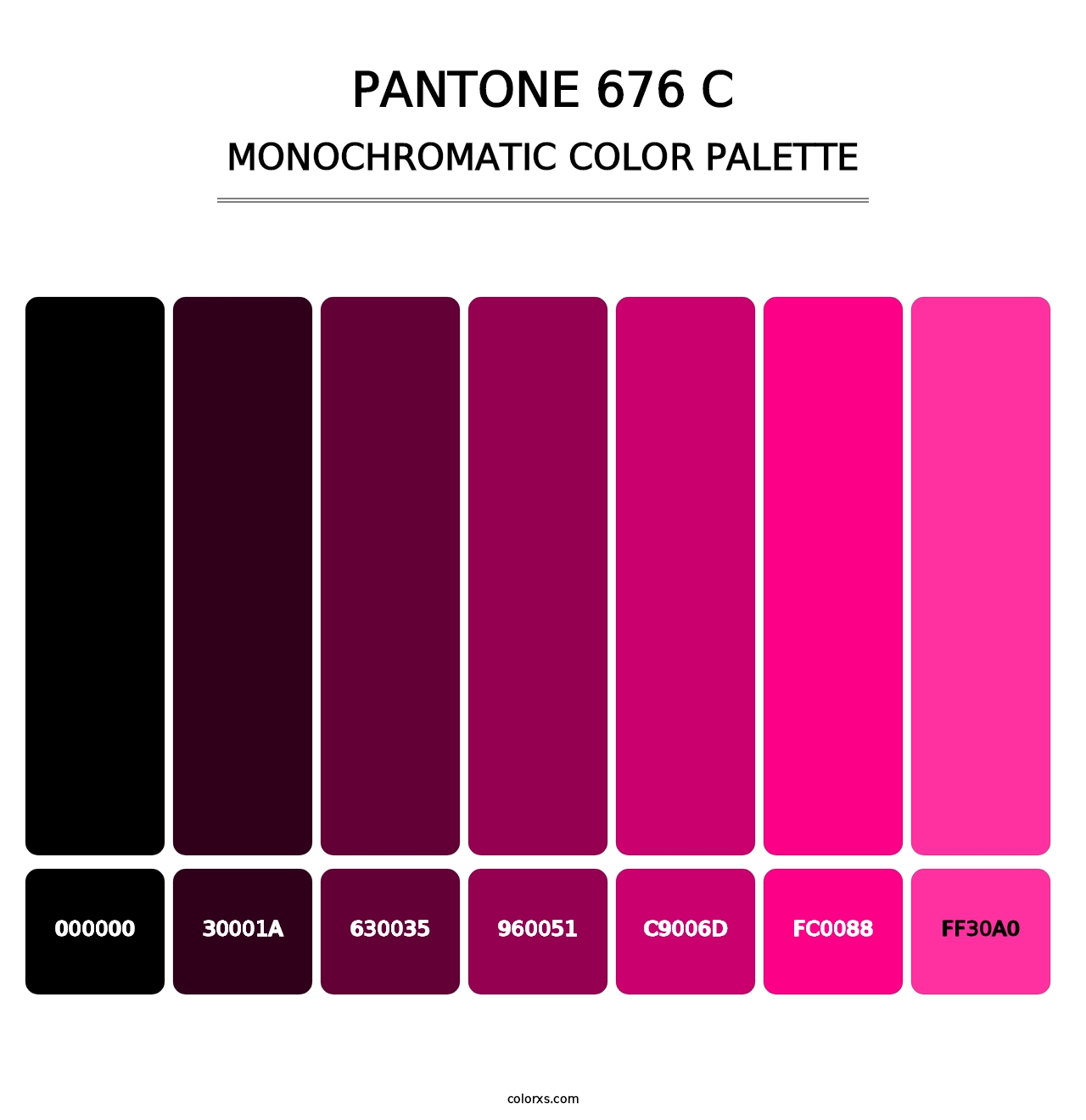 PANTONE 676 C - Monochromatic Color Palette