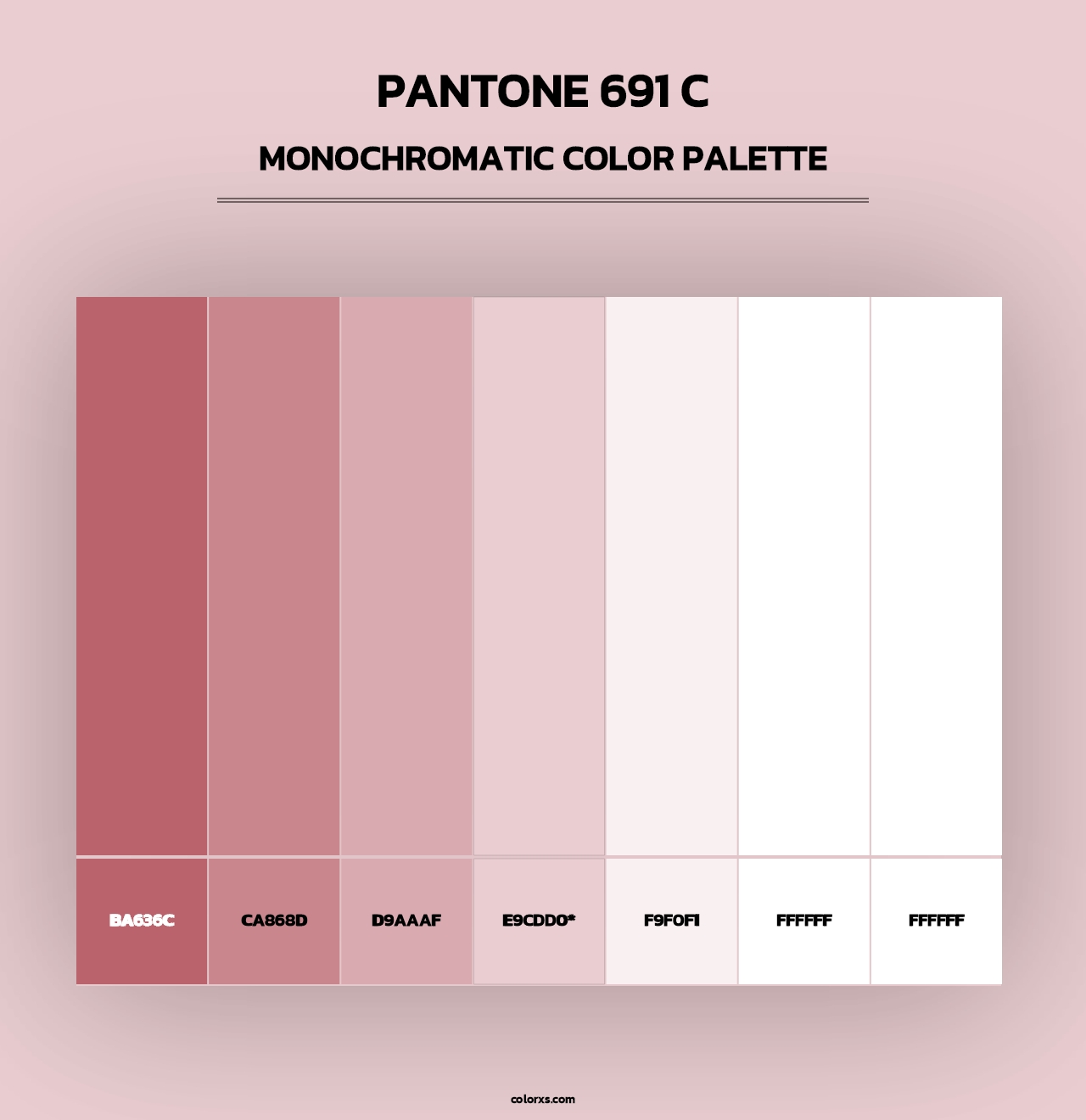 PANTONE 691 C - Monochromatic Color Palette