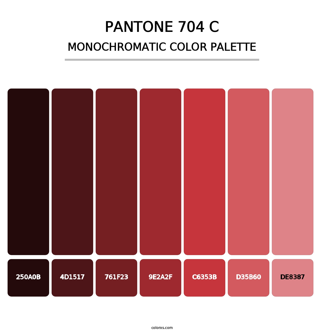 PANTONE 704 C - Monochromatic Color Palette