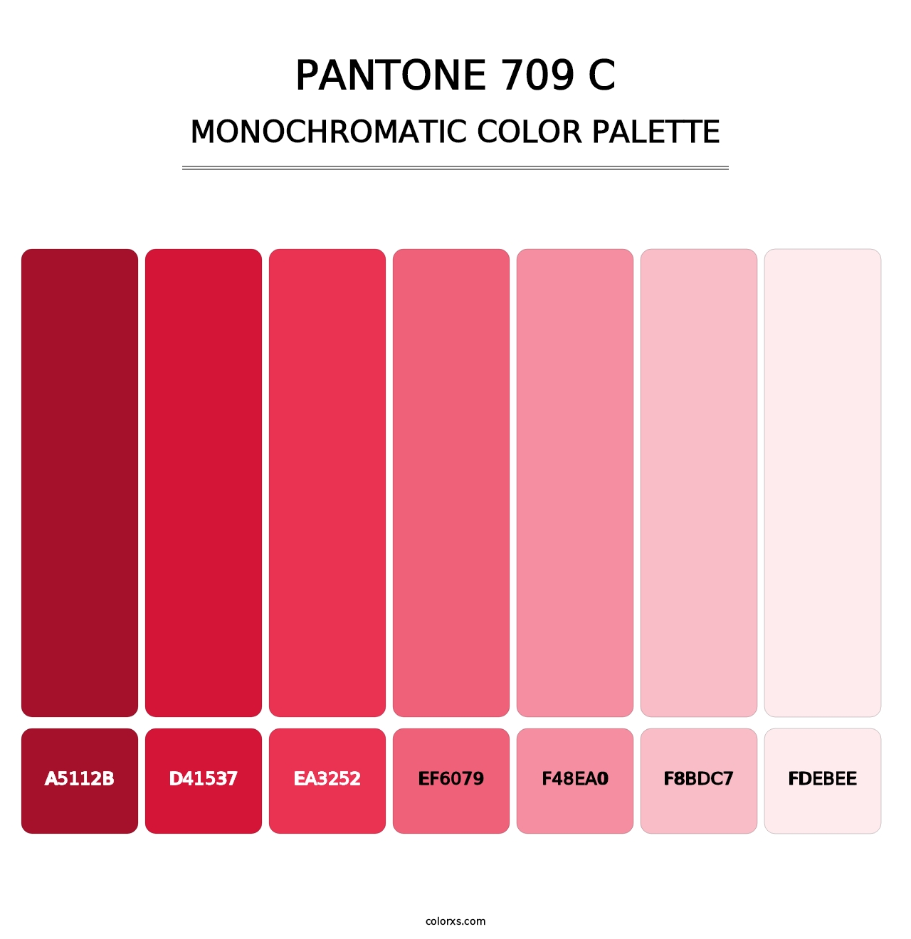 PANTONE 709 C - Monochromatic Color Palette