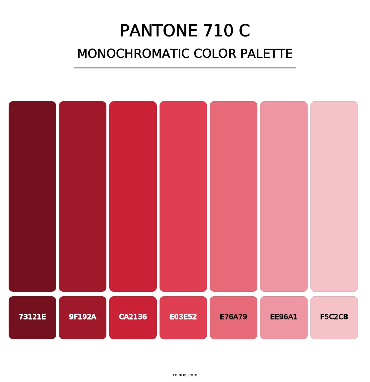 PANTONE 710 C - Monochromatic Color Palette