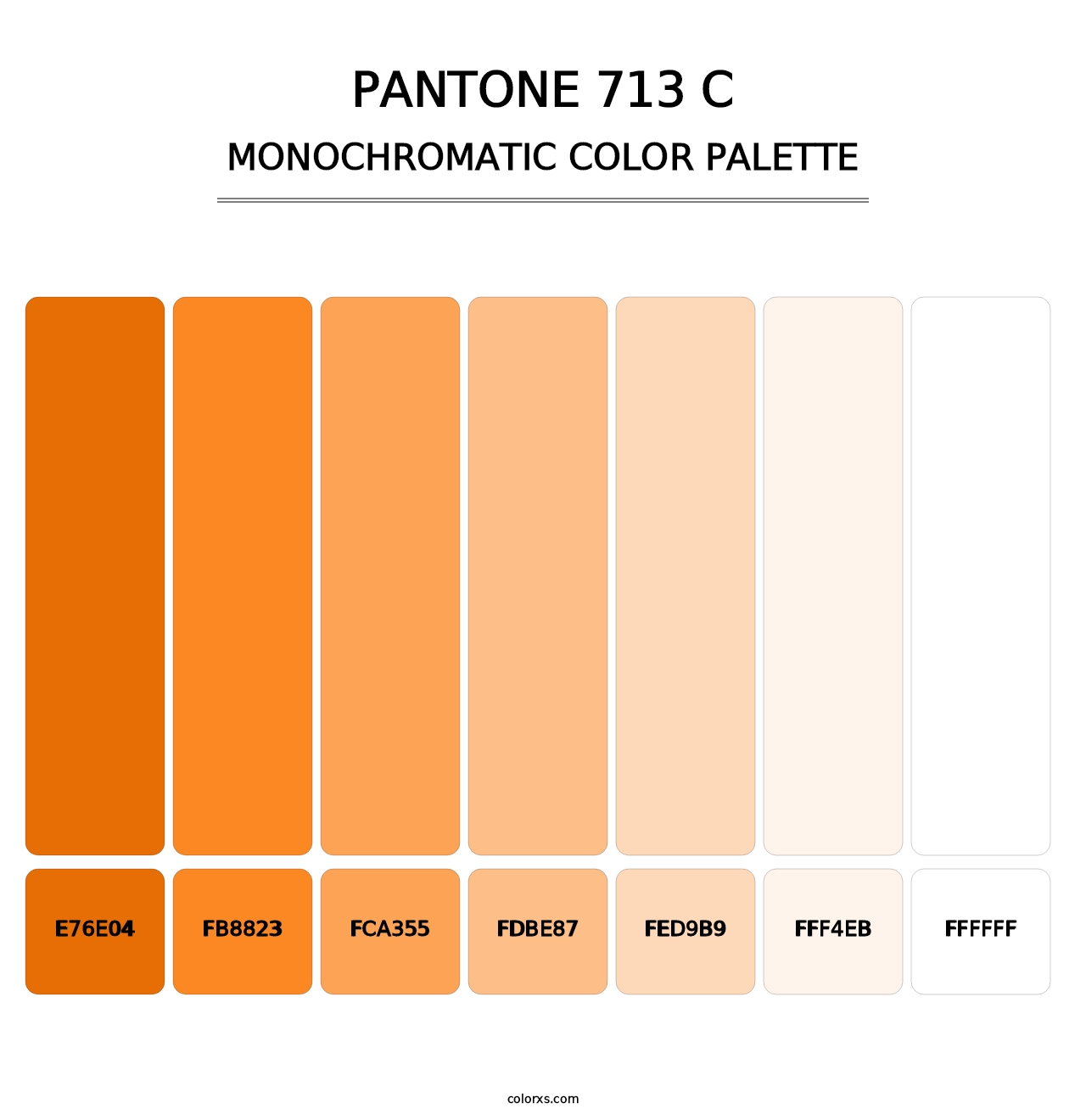 PANTONE 713 C - Monochromatic Color Palette