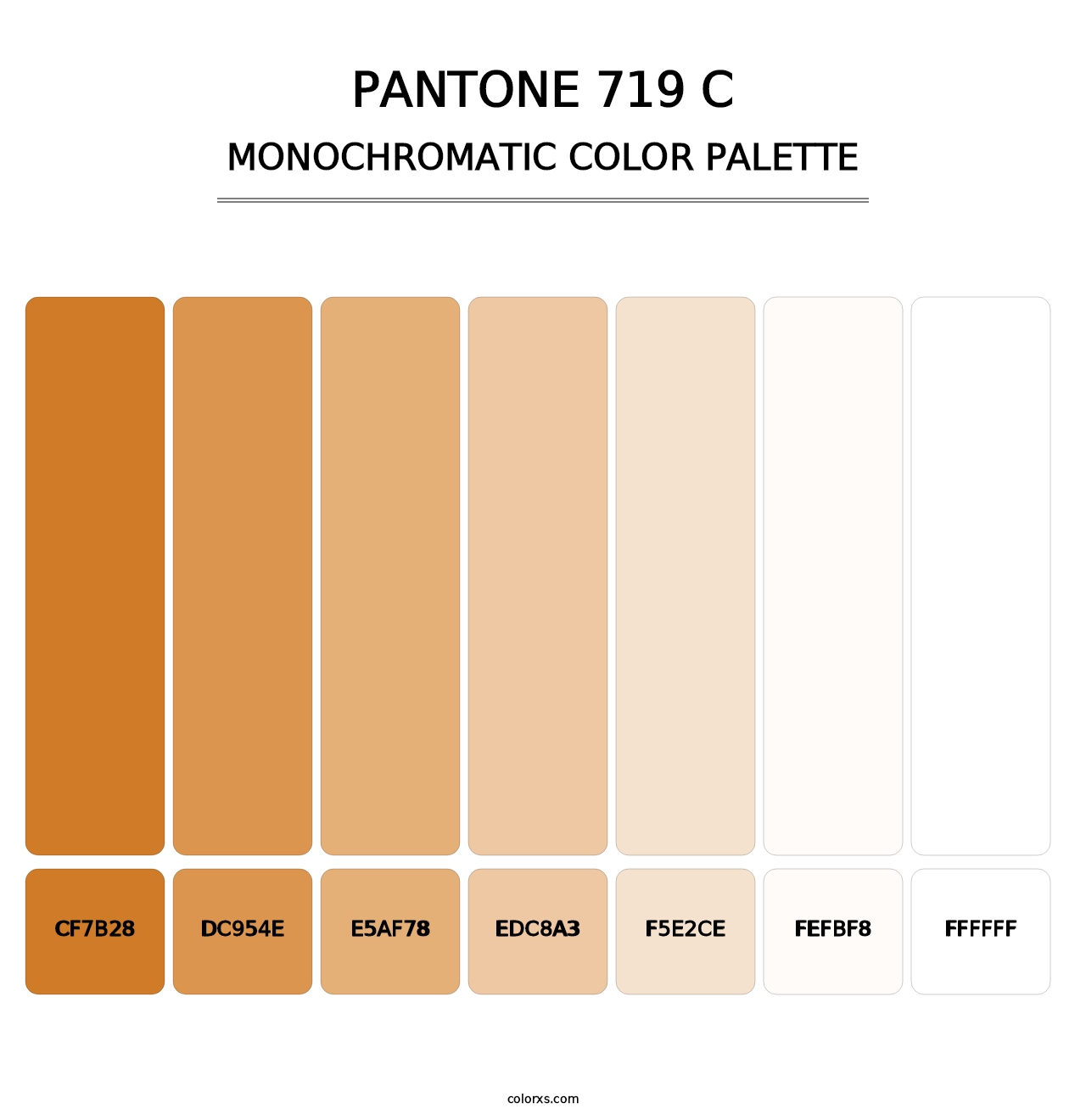 PANTONE 719 C - Monochromatic Color Palette